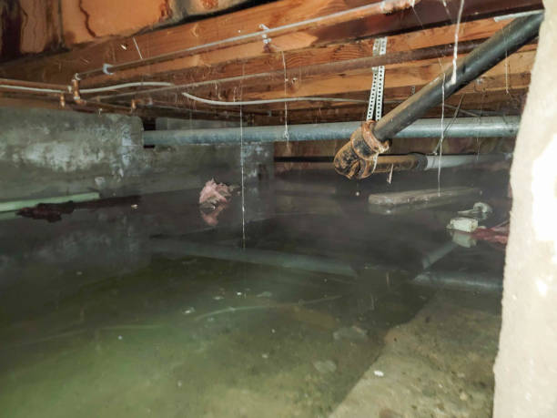 Best Residential water damage restoration  in Center Line, MI