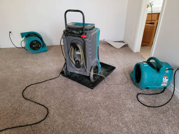 Best Water damage contractors near me  in Center Line, MI