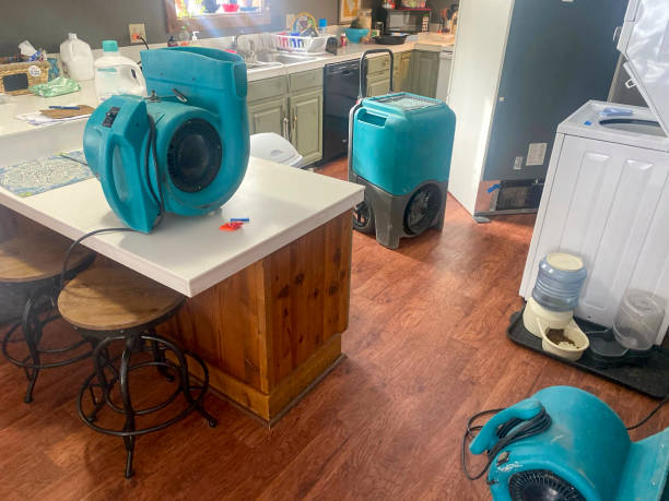 Best 24-hour water damage restoration  in Center Line, MI