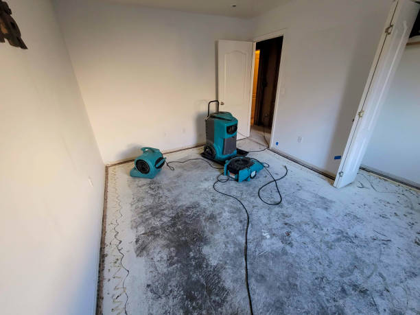 Best Mold removal after water damage  in Center Line, MI